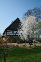 /album/fotogalerie/dum-spendlik-jpg/